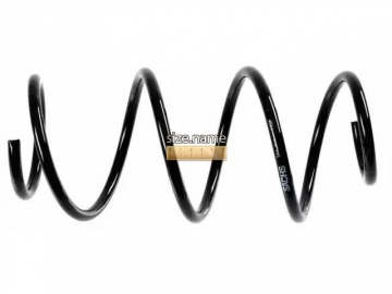 Coil Spring 998748 (SACHS)