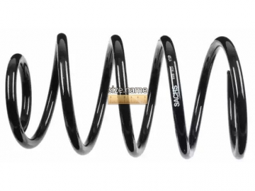 Coil Spring 998923 (SACHS)