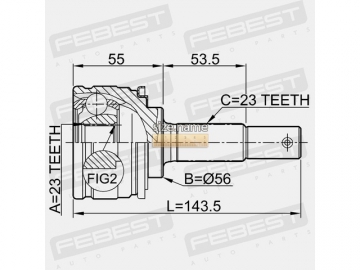 Outer CV Joint 0110-003 (FEBEST)