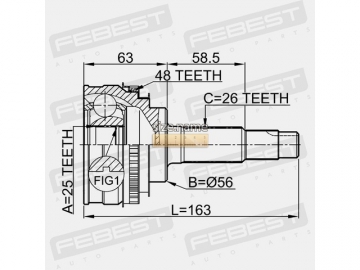 Outer CV Joint 0110-065A48 (FEBEST)