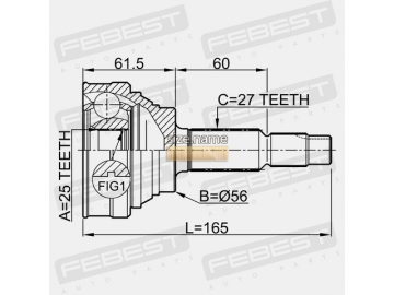 Outer CV Joint 0210-031 (FEBEST)