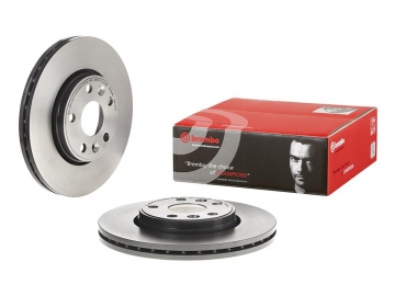 Brake Rotor 09.8137.31 (BREMBO)