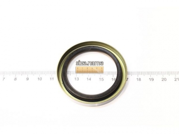 Oil Seal NJ036 (PAYEN)