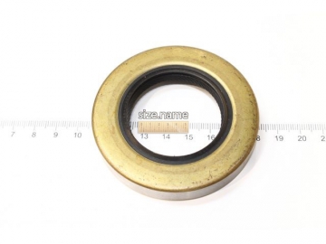 Oil Seal NJ508 (PAYEN)