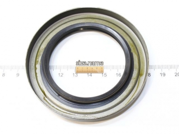 Oil Seal F4172 (MUSASHI)