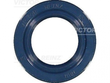 Oil Seal 81-15293-10 (VICTOR REINZ)