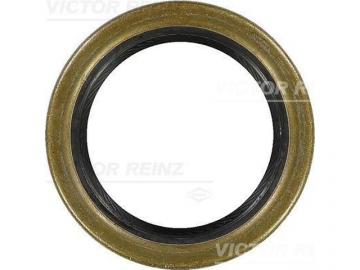 Oil Seal 81-21087-10 (VICTOR REINZ)