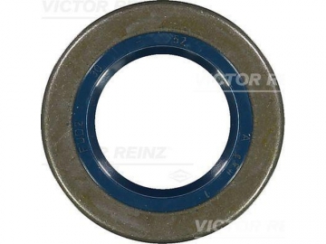 Oil Seal 81-23174-00 (VICTOR REINZ)