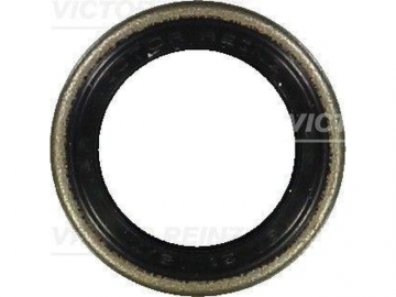 Oil Seal 81-24010-00 (VICTOR REINZ)