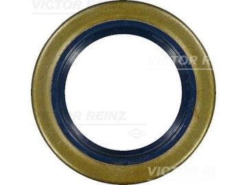 Oil Seal 81-33857-00 (VICTOR REINZ)