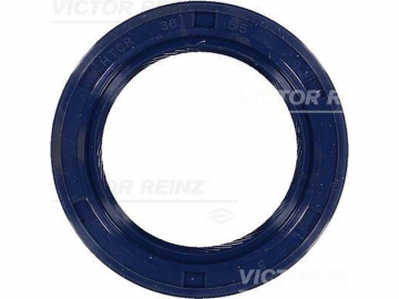 Oil Seal 81-53263-00 (VICTOR REINZ)
