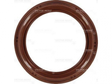 Oil Seal 81-53287-00 (VICTOR REINZ)