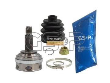 Outer CV Joint 823179 (GSP)