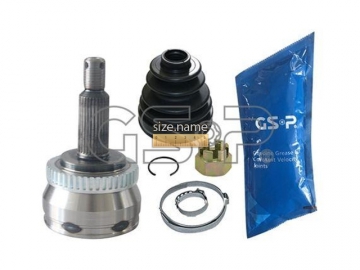 Outer CV Joint 824063 (GSP)