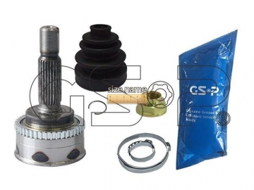 Outer CV Joint 839119 (GSP)