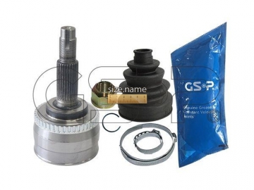 Outer CV Joint 839248 (GSP)