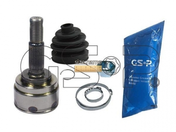 Outer CV Joint 841029 (GSP)