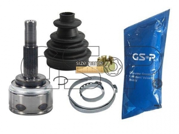 Outer CV Joint 841109 (GSP)