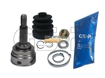 Outer CV Joint 841119 (GSP)