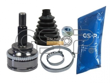 Outer CV Joint 850069 (GSP)