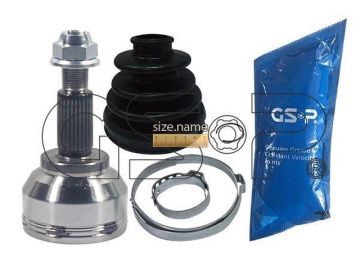 Outer CV Joint 850079 (GSP)