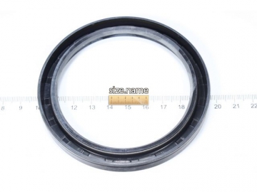 Oil Seal BCC458-A0 (NOK)