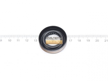 Oil Seal BDD1193-A0 (NOK)