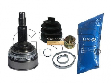 Outer CV Joint 859048 (GSP)