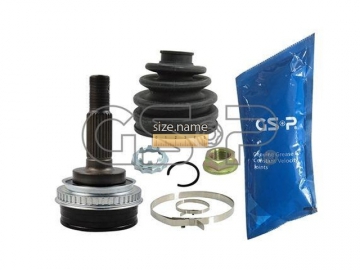 Outer CV Joint 859289 (GSP)