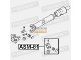 ASM-81
