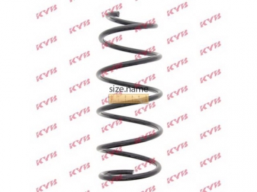 Coil Spring RG1138 (KAYABA)