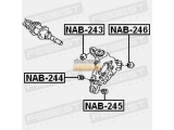 NAB-245
