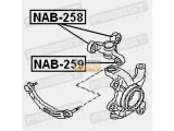 NAB-259