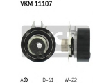 VKM 11107