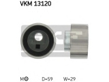 VKM 13120