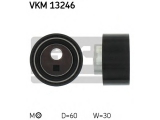 VKM 13246