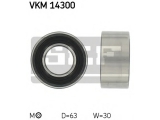 VKM 14300