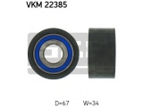 VKM 22385