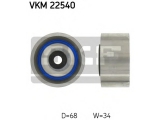 VKM 22540