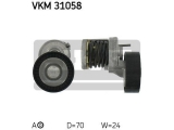 VKM 31058