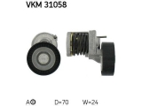 VKM 31058