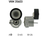VKM 35603