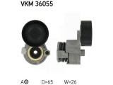 VKM 36055