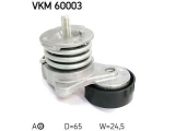 VKM 60003