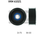 VKM 61021
