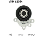 VKM 62054