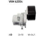 VKM 62054