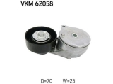 VKM 62058