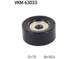 VKM 63033