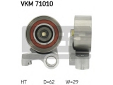 VKM 71010
